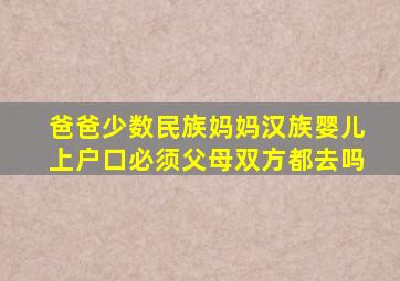 爸爸少数民族妈妈汉族婴儿上户口必须父母双方都去吗