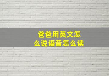 爸爸用英文怎么说语音怎么读