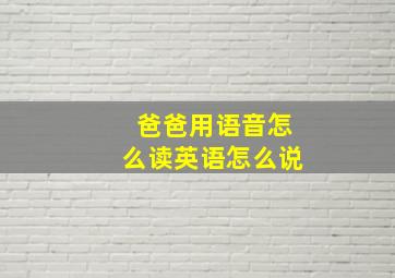 爸爸用语音怎么读英语怎么说