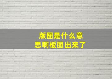 版图是什么意思啊板图出来了