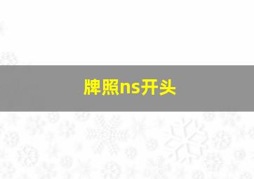 牌照ns开头