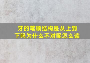 牙的笔顺结构是从上到下吗为什么不对呢怎么读