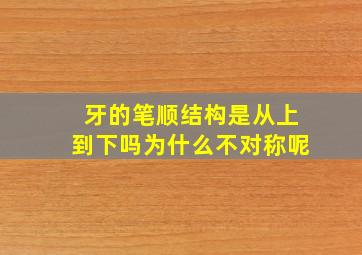 牙的笔顺结构是从上到下吗为什么不对称呢