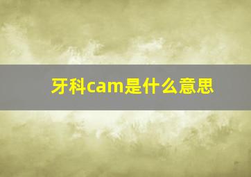 牙科cam是什么意思