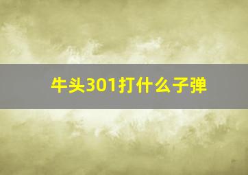 牛头301打什么子弹