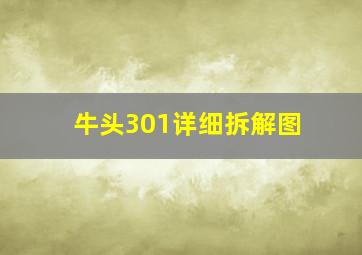 牛头301详细拆解图