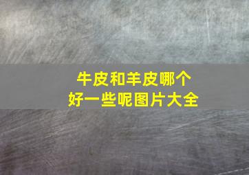 牛皮和羊皮哪个好一些呢图片大全