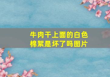 牛肉干上面的白色棉絮是坏了吗图片