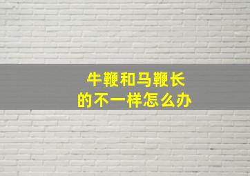 牛鞭和马鞭长的不一样怎么办