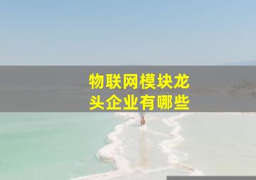 物联网模块龙头企业有哪些