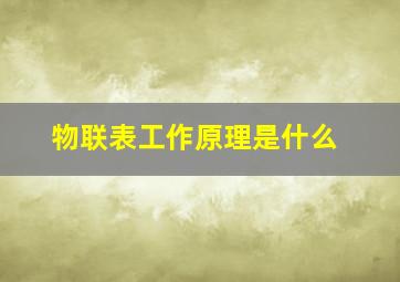 物联表工作原理是什么