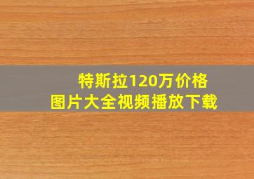 特斯拉120万价格图片大全视频播放下载