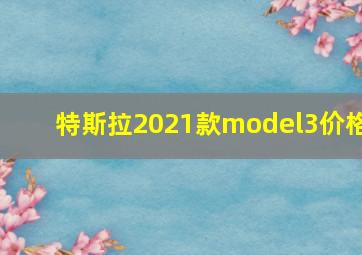 特斯拉2021款model3价格