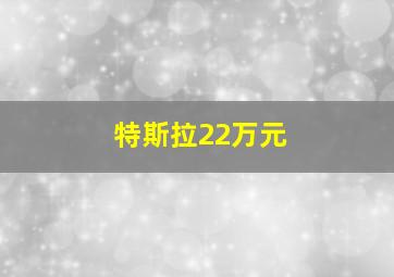 特斯拉22万元