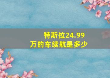 特斯拉24.99万的车续航是多少