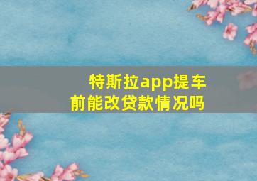 特斯拉app提车前能改贷款情况吗