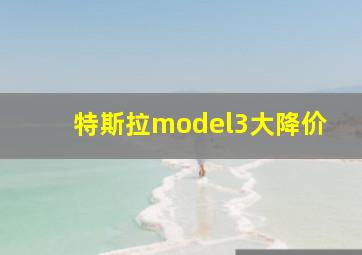 特斯拉model3大降价