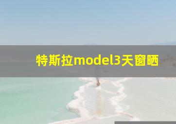 特斯拉model3天窗晒