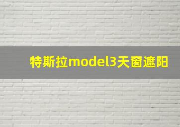 特斯拉model3天窗遮阳