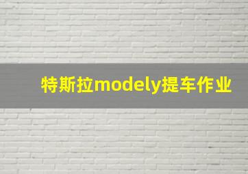 特斯拉modely提车作业