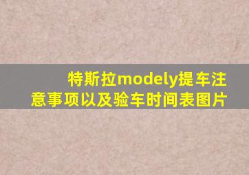 特斯拉modely提车注意事项以及验车时间表图片