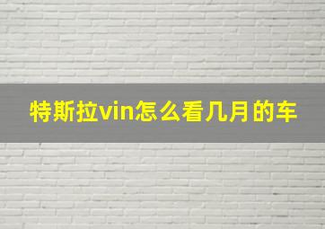 特斯拉vin怎么看几月的车