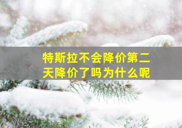 特斯拉不会降价第二天降价了吗为什么呢