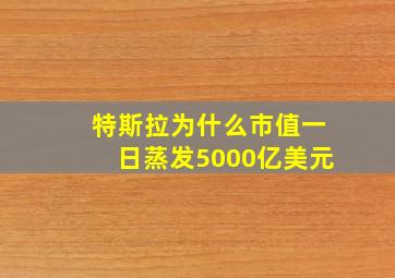 特斯拉为什么市值一日蒸发5000亿美元