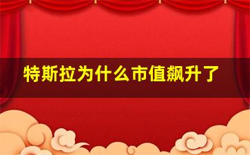 特斯拉为什么市值飙升了