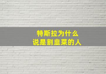 特斯拉为什么说是割韭菜的人