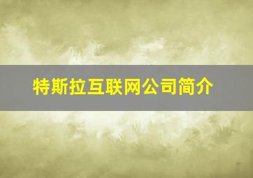 特斯拉互联网公司简介