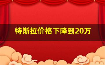 特斯拉价格下降到20万