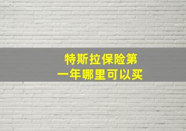 特斯拉保险第一年哪里可以买