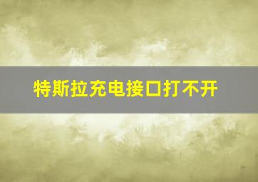 特斯拉充电接口打不开