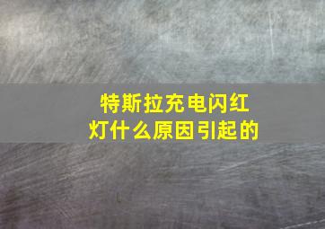 特斯拉充电闪红灯什么原因引起的