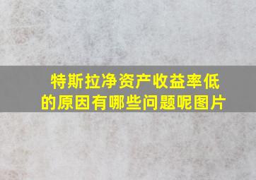 特斯拉净资产收益率低的原因有哪些问题呢图片