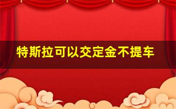 特斯拉可以交定金不提车