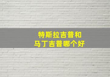 特斯拉吉普和马丁吉普哪个好