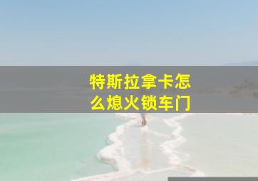 特斯拉拿卡怎么熄火锁车门