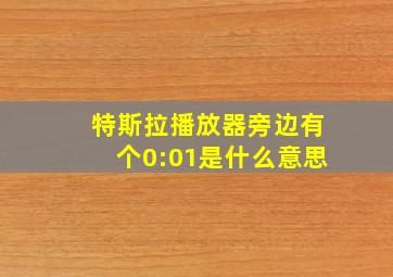 特斯拉播放器旁边有个0:01是什么意思