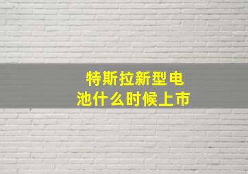 特斯拉新型电池什么时候上市