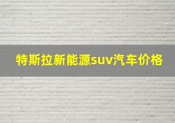 特斯拉新能源suv汽车价格