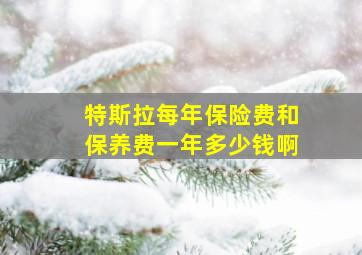 特斯拉每年保险费和保养费一年多少钱啊