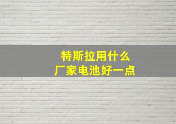 特斯拉用什么厂家电池好一点