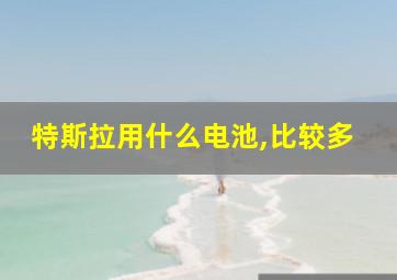 特斯拉用什么电池,比较多