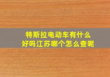 特斯拉电动车有什么好吗江苏哪个怎么查呢