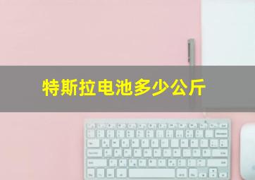 特斯拉电池多少公斤