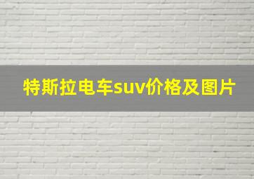 特斯拉电车suv价格及图片