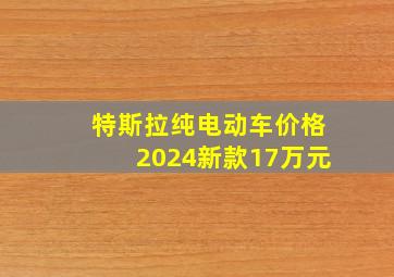 特斯拉纯电动车价格2024新款17万元