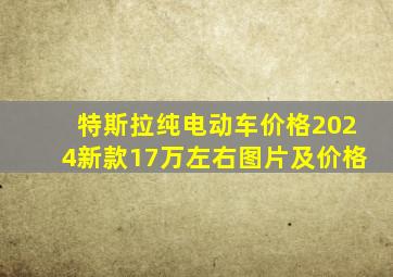 特斯拉纯电动车价格2024新款17万左右图片及价格